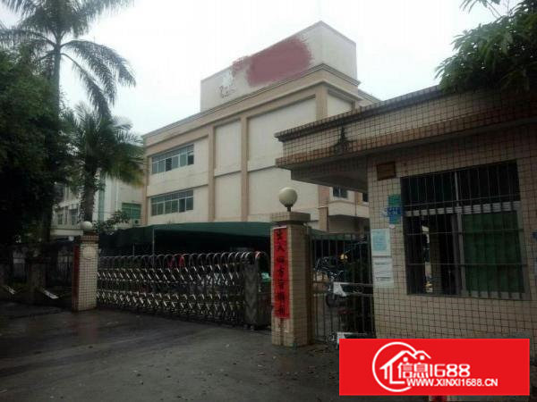 横沥喷油环评标准厂房6000平方豪华装修大空地