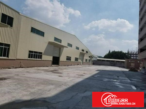 模具城附近靠常平新出单层11米高钢构