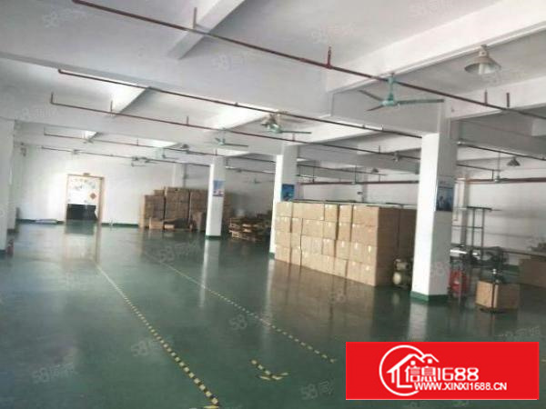 茶山镇原房东独院厂房3400平方出租，主干道边上