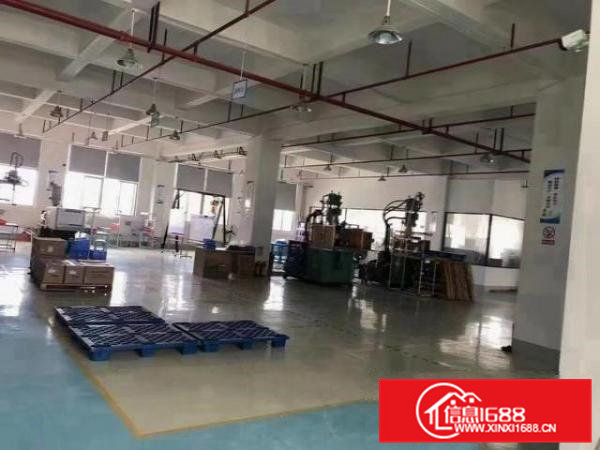 二楼4米高，可装航车！大宁附近1150平精装修厂房出租