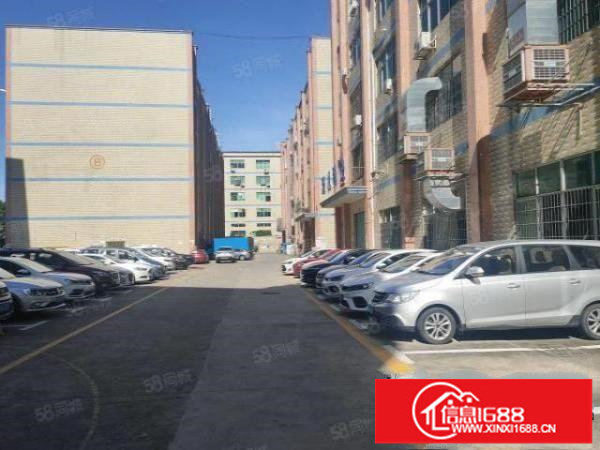 大浪独院工业园精装厂房出租5000平分租一楼厂房仓库300起