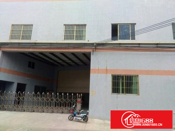 租客分租单一层6米高，钢构厂房