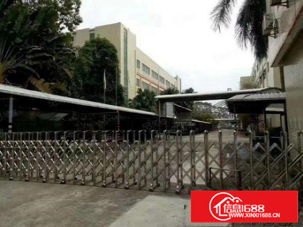 长安镇沙头原房东独院11000平，可以分租