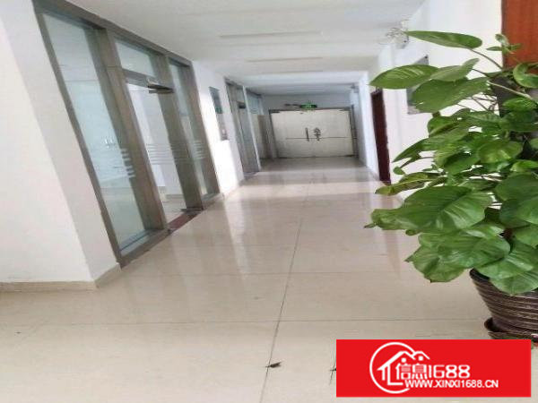 龙岗坪地坪地六联工业区独院厂房出租可分租