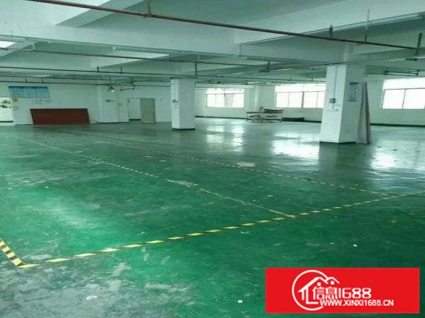 坂田上雪科技园300平500平1000平带装修