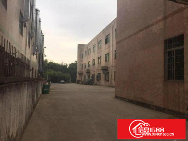 老坑工业区独院三层厂房及宿舍9800平方米分层招租