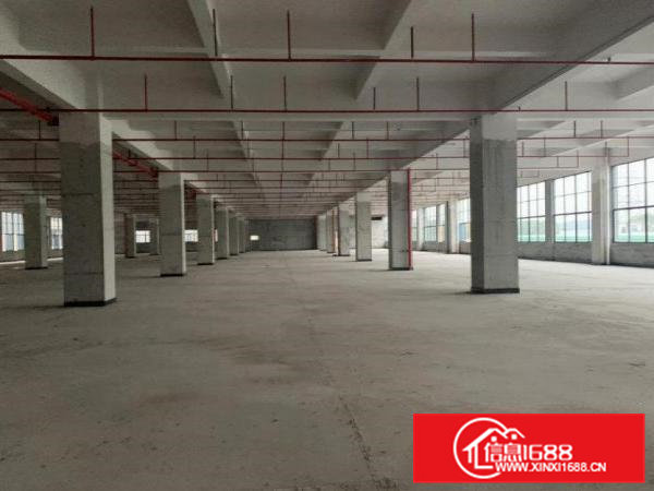 独栋，原房东，工业用地