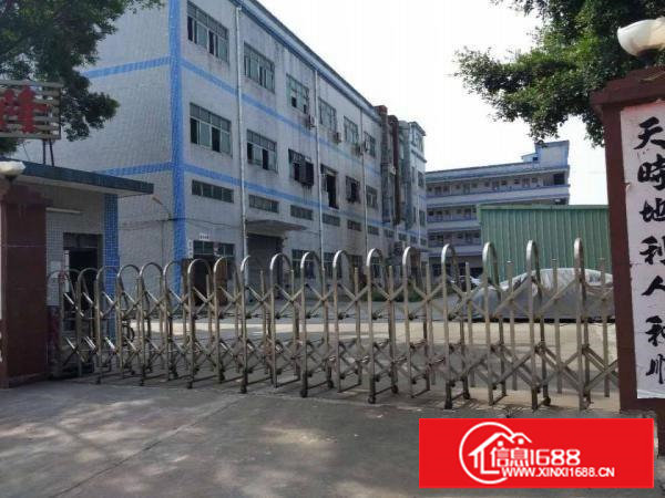 新出二楼600平方，环境好地理位置佳