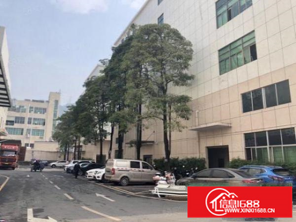 石岩镇新出楼上带精装修，无转让费2800平方厂房出租