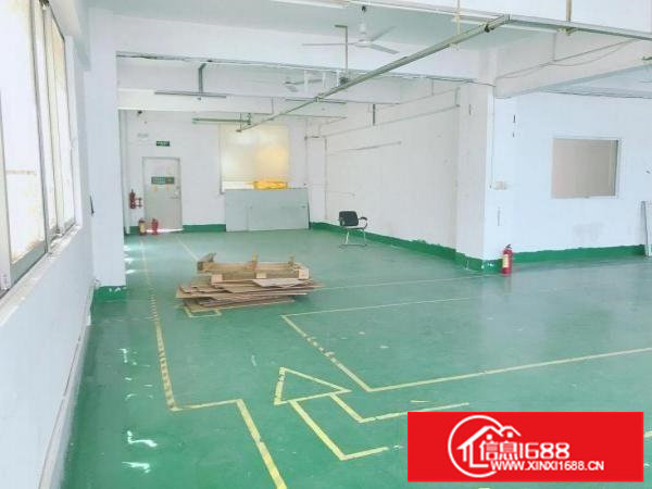 坂田上雪科技园200平300平500平1000平带装修