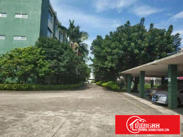 厦岗新出二楼带装修水电到位550平方米厂房出租