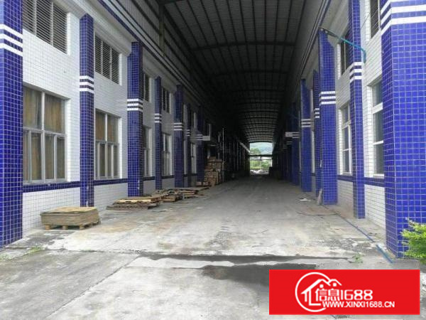 龙溪独门独院单一层砖墙到顶滴水11米面积100000厂房招租