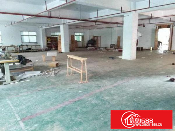 秋长独门独院4000平标准厂房整租送400平钢构