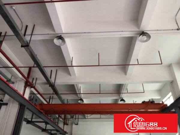 茶山下朗可办环评，现成装修空出1楼厂房700平方