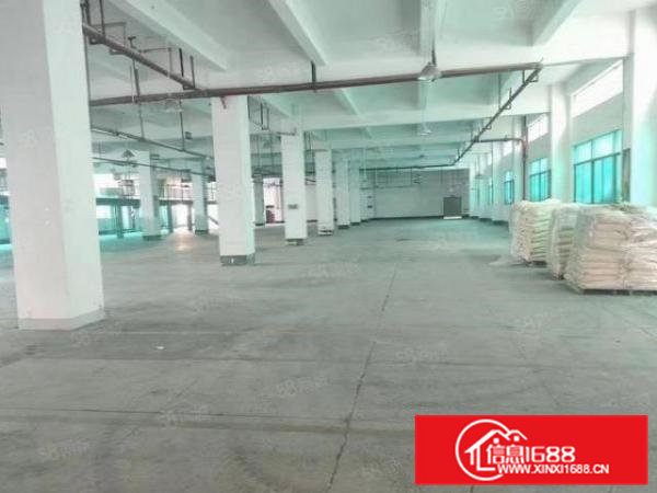 虎门镇小捷滘近南栅，近高数新出三楼1500平米厂房出租