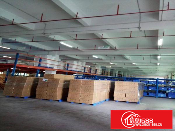 陈江全新红本厂房14000平米，可分租