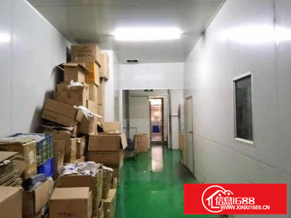 现成无尘车间办公室，现房