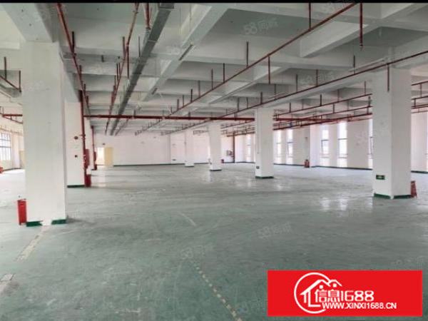 光明靠观澜,龙华,大浪高薪园区1150~1.5万平红本厂房