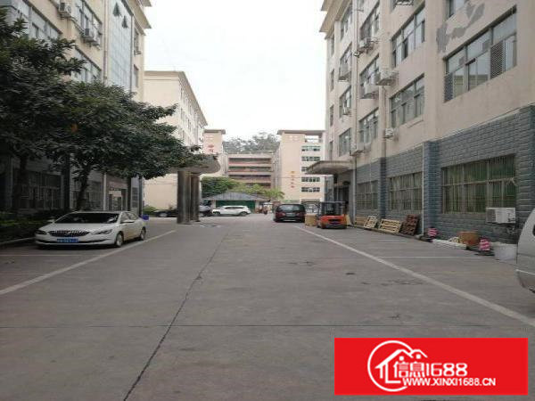 坂田上雪科技园精装厂房仓库2000平米一二楼可分租