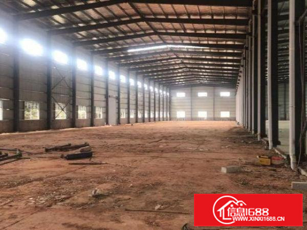 桥头镇原房东新建10米高钢构独院出租