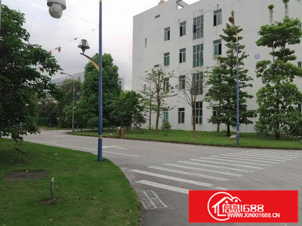 横岗地铁站大型产业园招租，200平起租！！