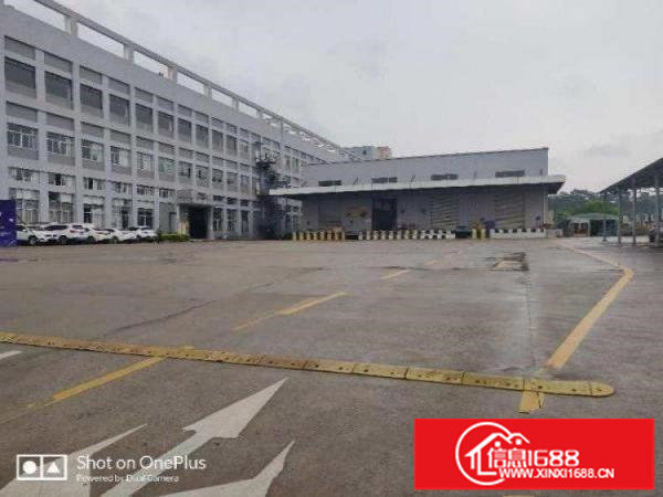 坪山红本一楼层高10米1500平标准厂房出租，享受补贴