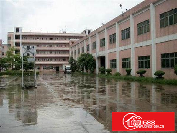 桥头镇新出标准厂房一楼1800平方出租，带地坪漆