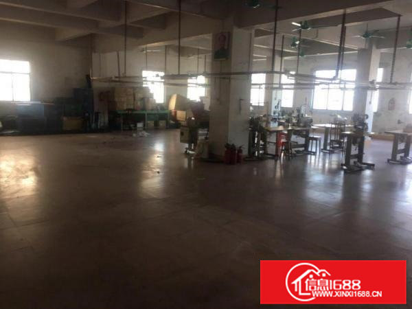 泉塘450平通层厂房出租，三楼