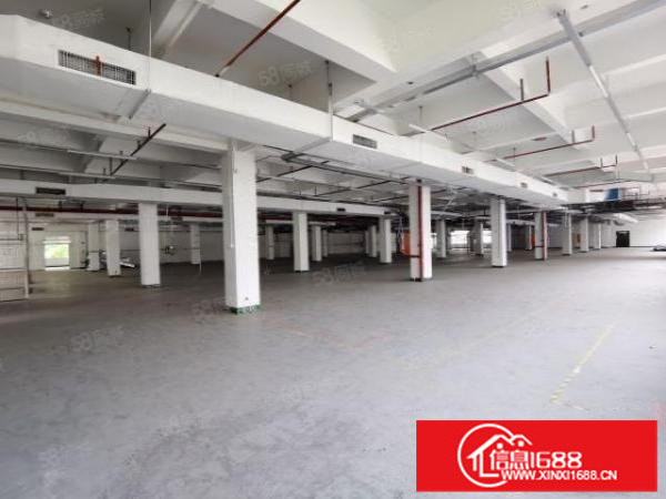 龙岗宝龙单层4500整栋18000平方米花园式厂房出租可分租