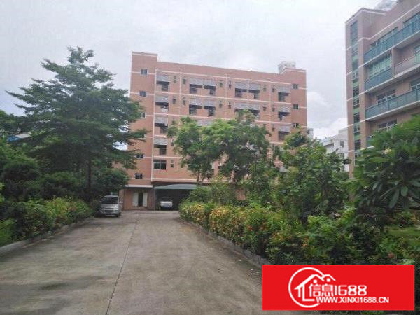 塘坑地铁站花园式厂房，每层580平，大小可分租