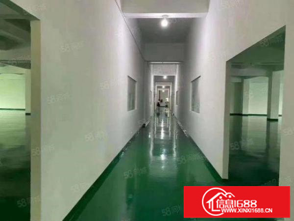 龙华区观澜新田附近880平全新装修厂房出租