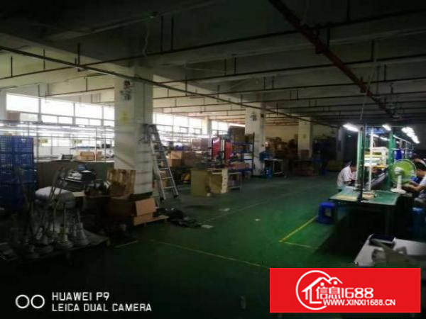 华丰直租宝安福永松福大道华丰科技园300-1500㎡