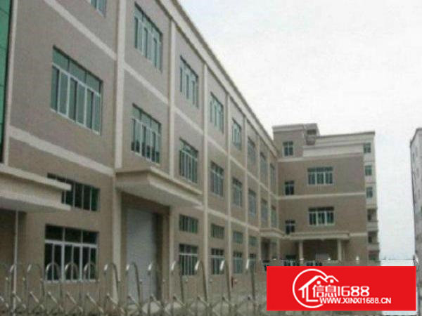 高埗标准厂房一楼800平方出租适合仓库贸易交通方便