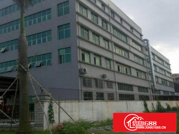 新墟独门独院全新楼上1200平厂房可分，现成办公室，交通便利