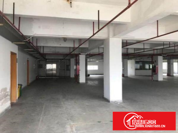 龙岗区坂田新出楼上1600平出租