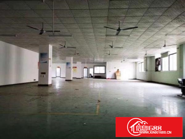 坂田上雪科技园一楼二楼200至2000平厂房仓库出租