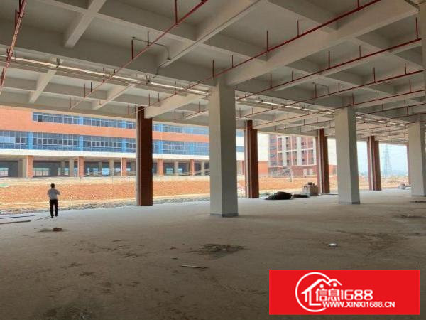 清溪三中新出原房东个人厂房临近高速交通便利