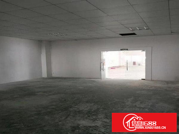 坂田原房东标准厂房一楼980平方可分可整高度6米电80