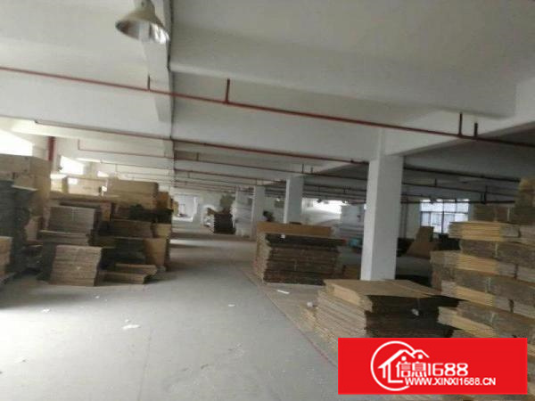 靓盘！（新出单一层）大亚湾带装货平台4300厂房