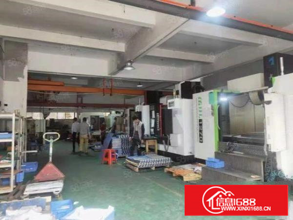 长安厦边即将空出楼上900平方厂房火热招租