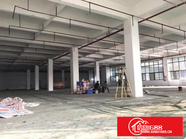 塘厦科苑城，新出一楼1900平方标准厂房，租21元，可分租