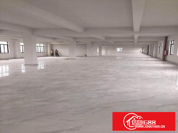 独门独院一楼1100平方出租