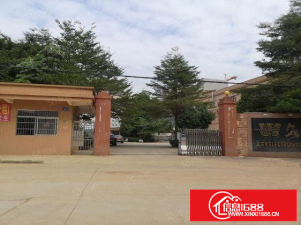 横沥西城新出一楼原房东分租680，340平方水电齐全高度8米