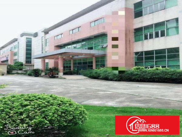 大岭山杨屋楼上560平厂房出租干净靓丽可办环评