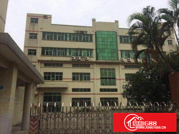 常平桥梓新出12000平方独门独院豪华装修厂房出租