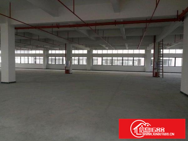 全新高埗镇厂房1800平米