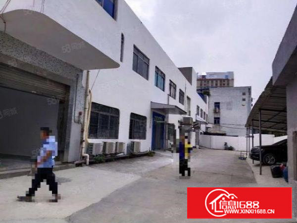 长安厂房出租厦岗2楼整层2060平，可分租，开阔视野