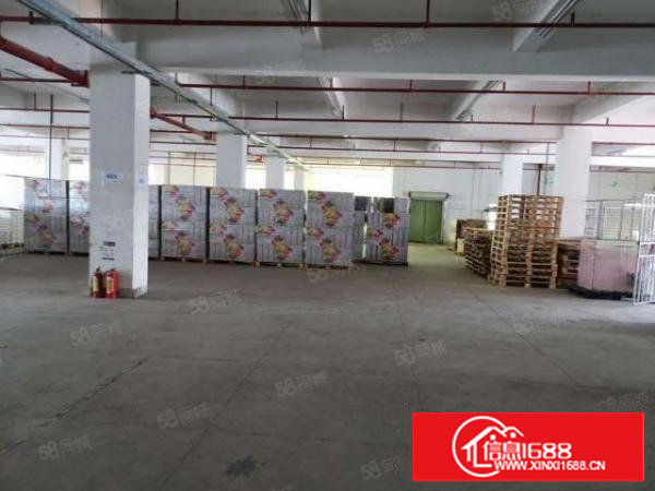 塘厦石马近深圳标准1楼2250平方！现成主线办公室装修