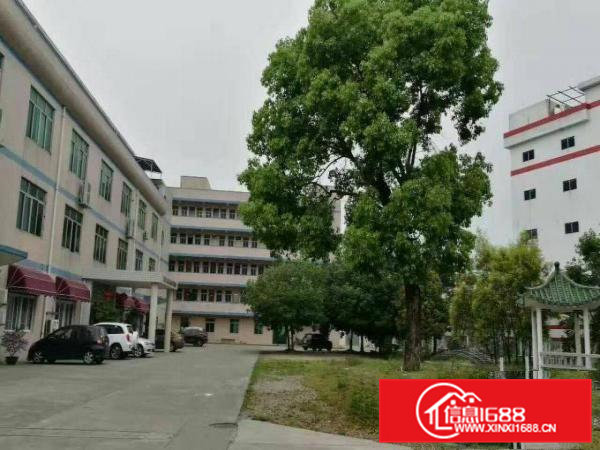 原房东楼上整层面积2000平方带现成豪华办公室装修