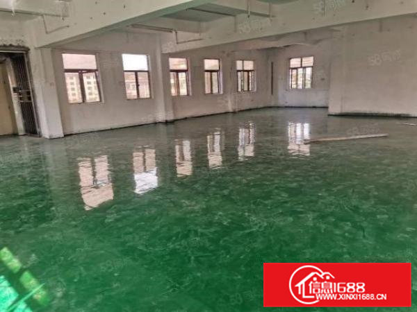 （出租）凤岗楼上新出238平方带全新地坪漆！